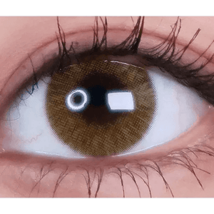 LensVery Rich Ann Shine Brown (6p) - Idol Karakon