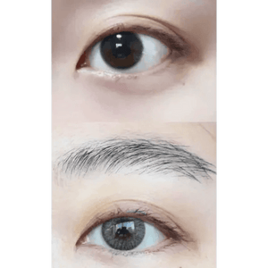 LensVery Rich Ann Shine Gray (6p) - Idol Karakon