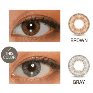 LensVery Rich Ann Shine Gray (6p) - Idol Karakon