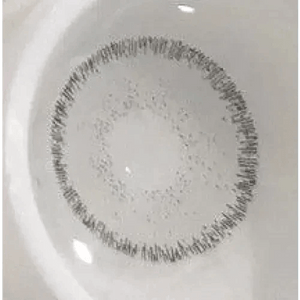 Olens Rich Gray - Idol Karakon