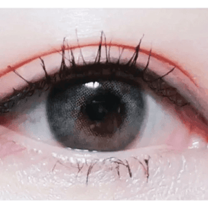 LensTown Romantea London 1Day Gray (10p) - Idol Karakon