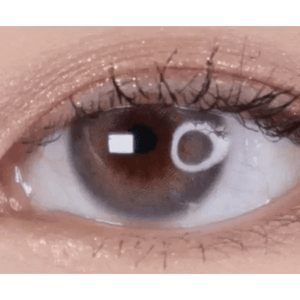 LensTown Romantea London 1Day Gray (10p) - Idol Karakon