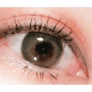 LensTown Romantea London 1Day Olive Green (10p) - Idol Karakon