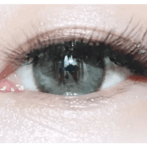 LensTown Romantea Paris Khaki Gray - Idol Karakon