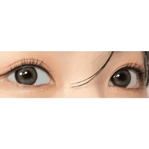 LensTown Romantea Ring 1Day Gray (10p) - Idol Karakon