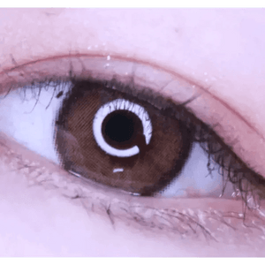 ロマンティー・ローズ ヌードブラウン — Romantea Rose Nude Brown - Idol Karakon