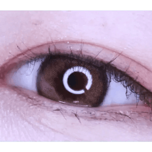 LensTown Romantea Rose Nude Brown - Idol Karakon