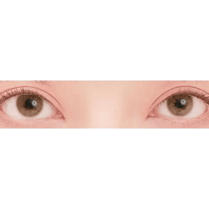 LensTown Romantea Venice Brown - Idol Karakon