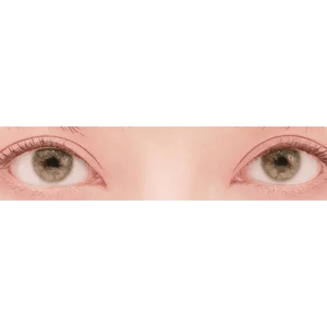 LensTown Romantea Venice Gray - Idol Karakon