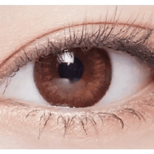 LensVery Rosee Romantic Brown - Idol Karakon