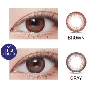 LensVery Rosee Romantic Gray - Idol Karakon