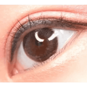 LensVery Rosee Romantic Gray - Idol Karakon