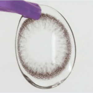 LensVery Rosee Romantic Gray - Idol Karakon