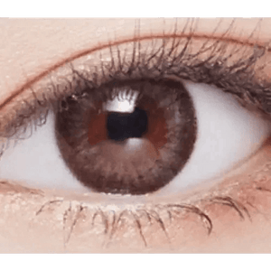 LensVery Rosee Romantic Gray - Idol Karakon