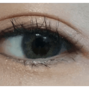 LensTown Rosy Basic Gray - Idol Karakon