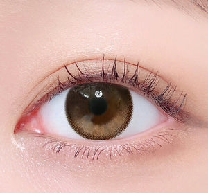 トゥーベター ビッグ ワンデー ブラウン(10枚) — Tob Btter Big 1Day Brown (10p) - Idol Karakon