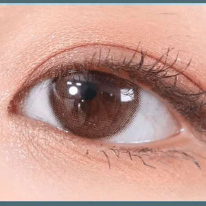 Olens ViVi Ring 1Day Choco (10p) - Idol Karakon