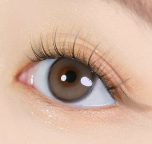 ユリアル マックス アールグレー 1枚入 — YURIAL Max Earl Gray - Idol Karakon