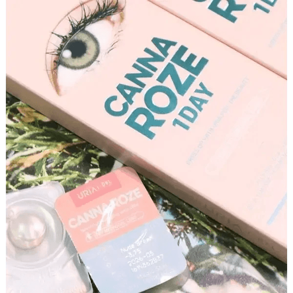 i - DOL Canna Rose Nude Brown 10枚入 - Idol Karakon