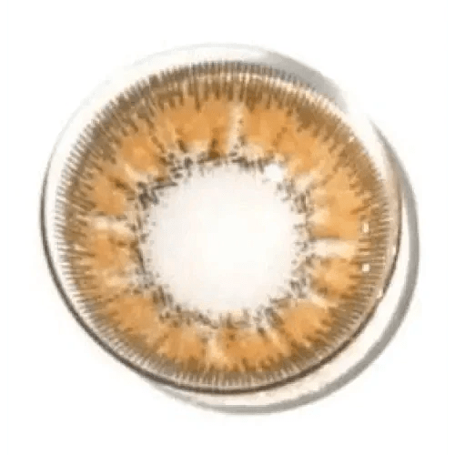 LensRang ウィズラン ヘーゼルブラウン - Idol Karakon