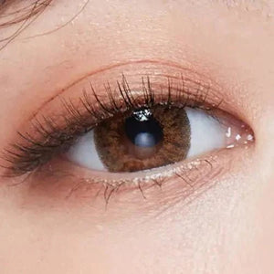 LensTown Back to Basic July Brown - Idol Karakon