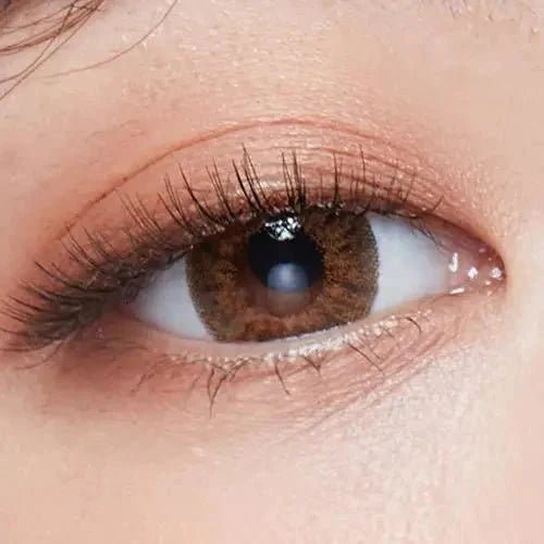 LensTown Back to Basic July Brown - Idol Karakon