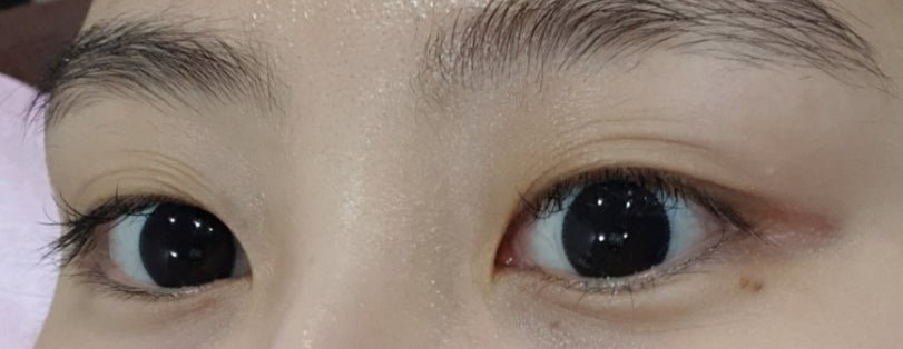 ナチュラルピュアブラック 90枚入 — Natural Pure Black (90p) - Idol Karakon