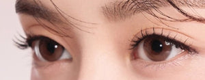 ラシェル スポットライトブラウン 30枚入 — LACELLE Spot Light Brown (30p) - Idol Karakon