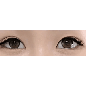 LensTown Beloved Royal Brown - Idol Karakon