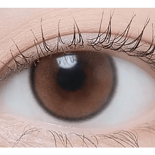 LensTown Beloved Water Brown - Idol Karakon