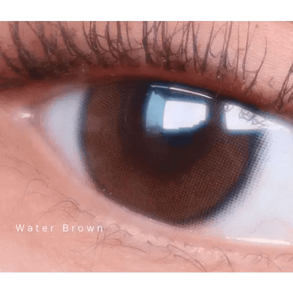 LensTown Beloved Water Brown - Idol Karakon