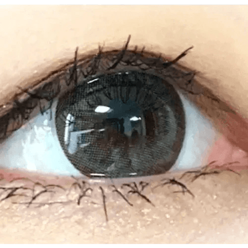 Olens Bigsome Gray - Idol Karakon