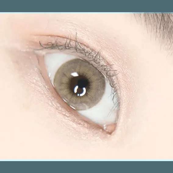 LensVery Buttercup 1Day Beige (10p) - Idol Karakon