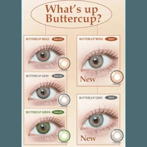 LensVery Buttercup 1Day Gray (10p) - Idol Karakon