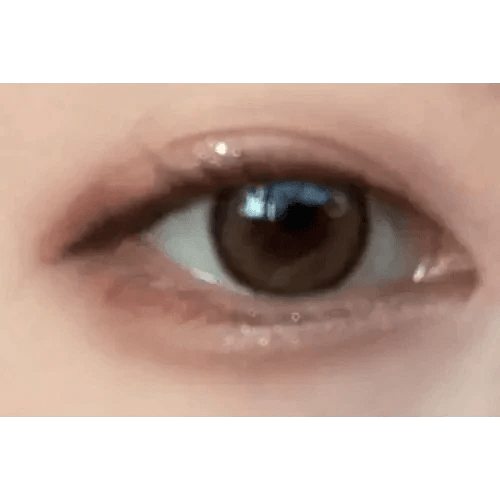 i - DOL Canna Roze Beige Brown 10枚入 - Idol Karakon