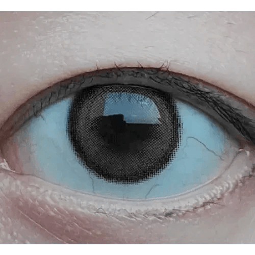 i - DOL Canna Roze Beige Brown 10枚入 - Idol Karakon