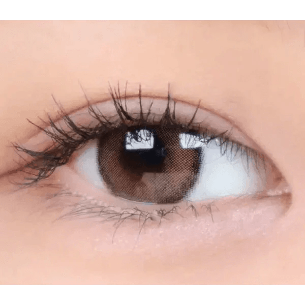 i - DOL Canna Roze Beige Brown 10枚入 - Idol Karakon