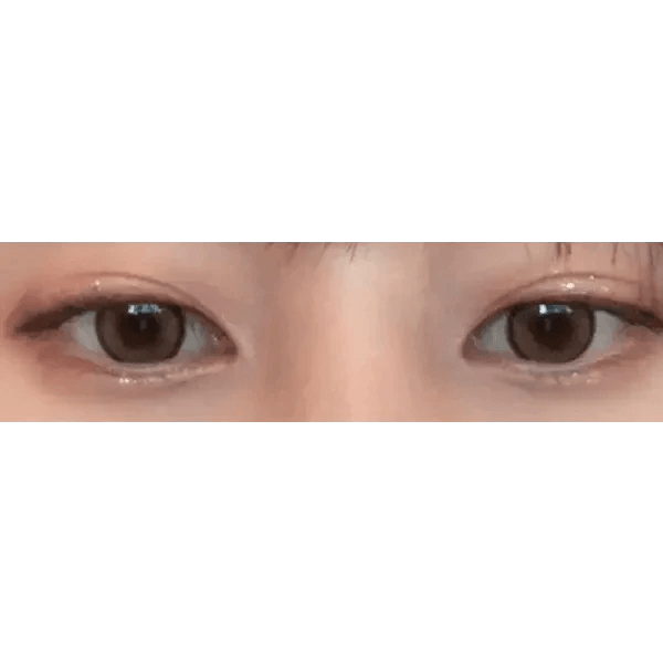 i - DOL Canna Roze Beige Brown 10枚入 - Idol Karakon