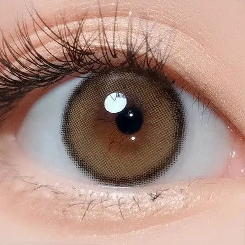 i - DOL Canna Roze Beige Brown 10枚入 - Idol Karakon