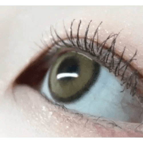 i - DOL Canna Roze Beige Brown 1枚入 - Idol Karakon