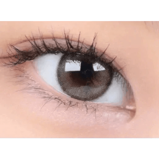 i - DOL Canna Rose Nude Brown 10枚入 - Idol Karakon