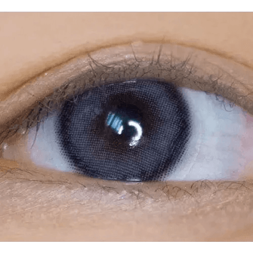 LensVery Celina Gray (10p) - Idol Karakon