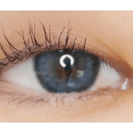LensVery Celina Gray (10p) - Idol Karakon