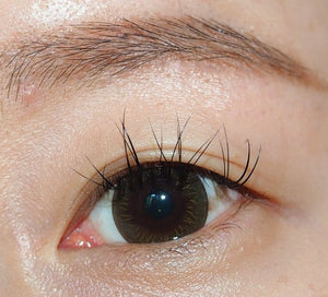 クラレン アイリス ラテンブラウン (10枚入) — Clalen Iris 1Day Latin Brown (10pcs) - Idol Karakon