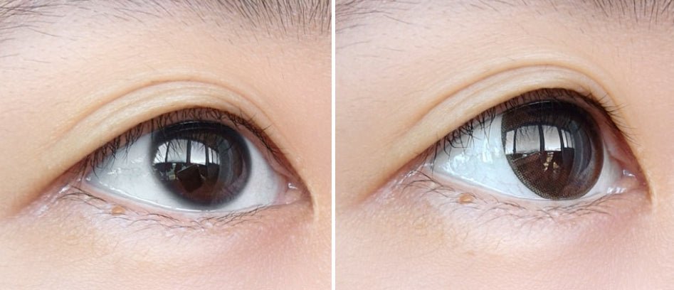 クラレン アイリス ラプソディーブラウン (40枚入) — Clalen Iris 1Day Rhapsody Brown (40pcs) - Idol Karakon