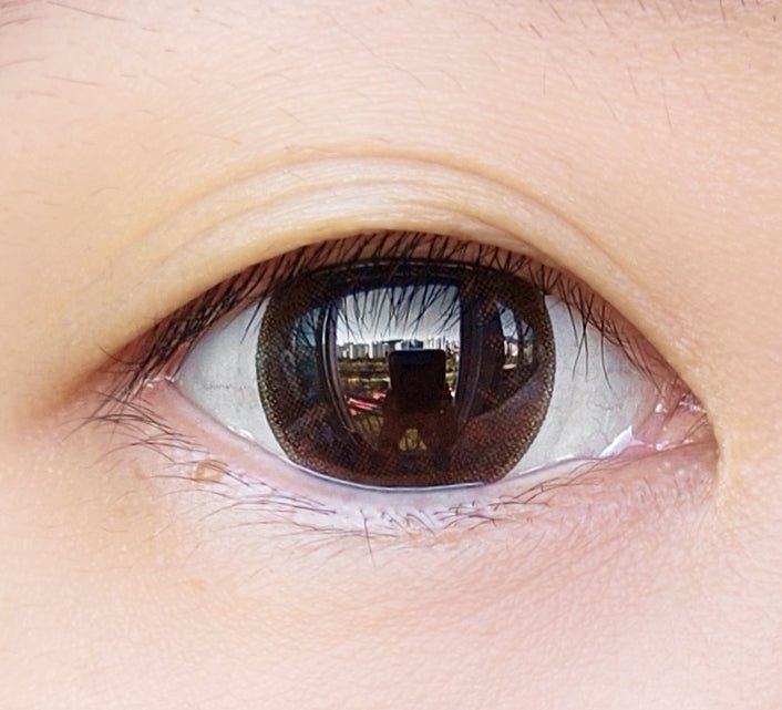 クラレン アイリス ラプソディーブラウン (40枚入) — Clalen Iris 1Day Rhapsody Brown (40pcs) - Idol Karakon