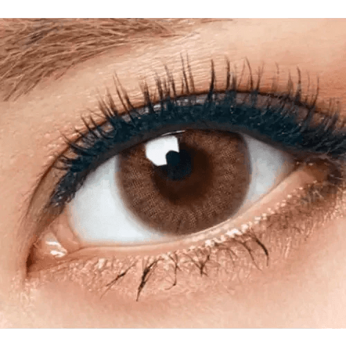 Olens Classi Mistique Brown - Idol Karakon