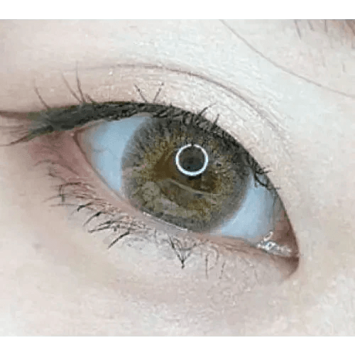 Olens Classi Mistique Gray - Idol Karakon