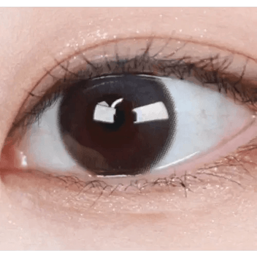 LensTown Coconut 3color Wild Burgundy - Idol Karakon