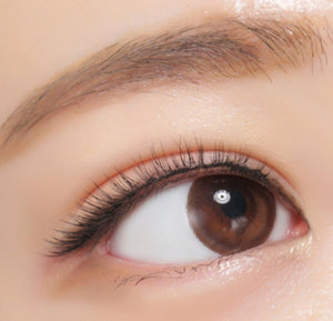 ダリ ブラウン トーリック（乱視用） Dali Brown Toric - Idol Karakon